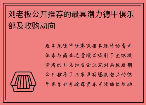 刘老板公开推荐的最具潜力德甲俱乐部及收购动向