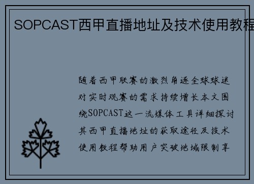 SOPCAST西甲直播地址及技术使用教程